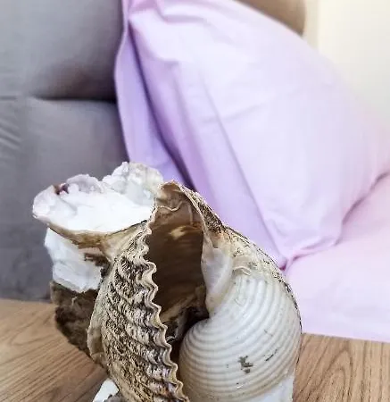 Center Cute And Comfy - Ajia Apartment