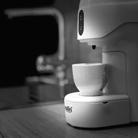 Center Cute And Comfy - Ajia Apartment