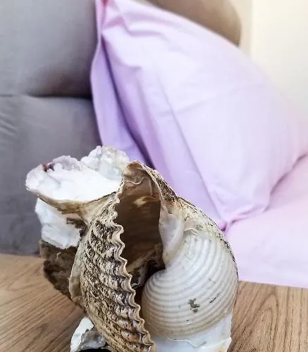 Center Cute And Comfy - Ajia Apartman