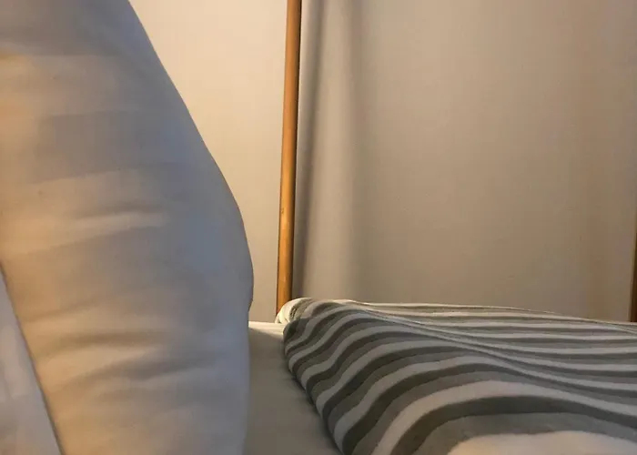 Center Cute And Comfy - Ajia *